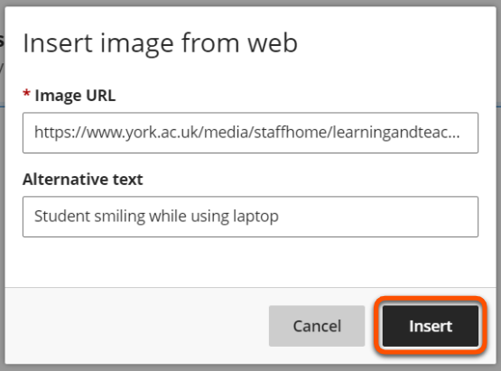 Annotated screenshot of the image insert tool, highlighting the Insert button