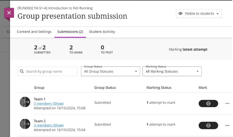 Submission tab listing Team 1 and Team 2, with option to show the group members