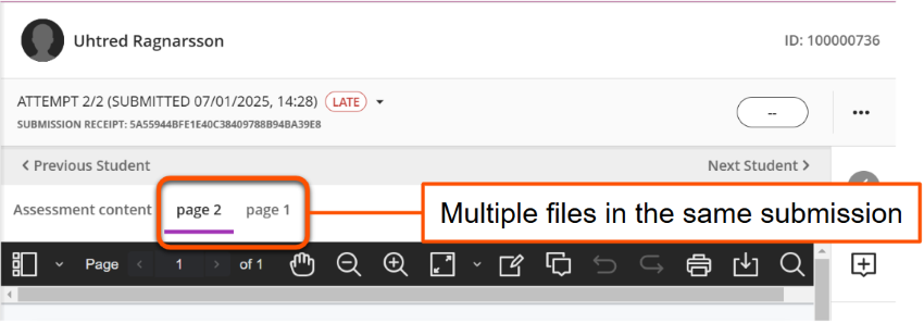 Tabs showing two uploaded files, page 1 and page 2