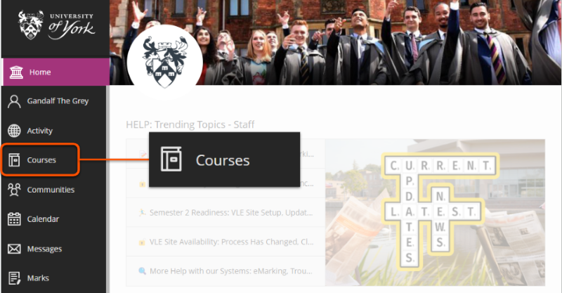 Courses link shown within the left hand navigation bar on the VLE home page