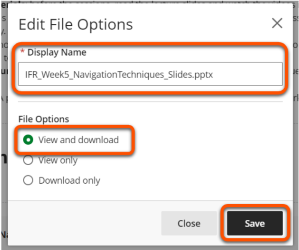 Edit File Options panel. Display name: IFR_Week5_NavigationTechniques_Slides.pptx, File options: 'View and download'