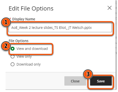 File options showing descriptive display name and view and download option selected
