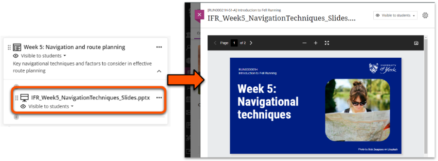 Lecture files uploaded as a standalone item that can be previewed within the VLE site