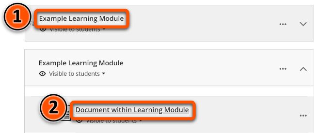 Clicking on a Learning Module to expand it and then clicking on an item within the Learning Module to open it