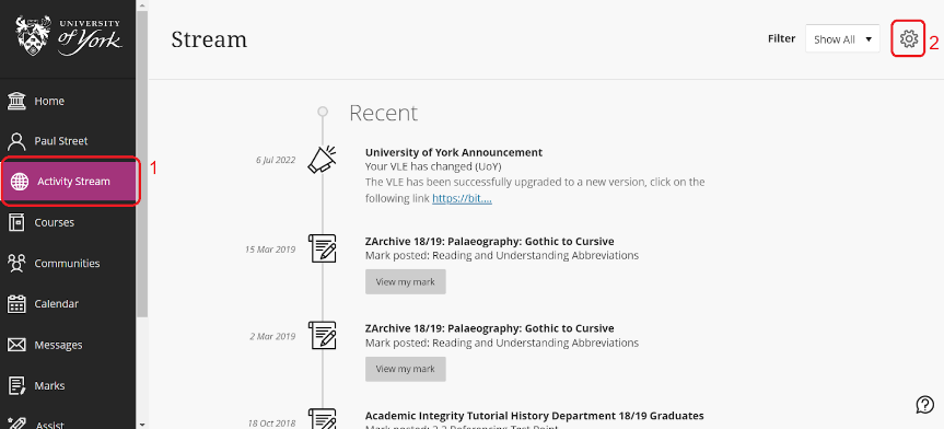Annotated screenshot highlighting the cog icon in the Activity Stream panel of the VLE