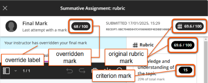 Submission showing: Final mark 68 and a note 'Your instructor has overidden your final mark', rubric mark 69.6, the first criterion mark 15